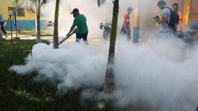 Acciones. Esta semana fumigarán Chamelecón.