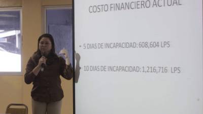 Personal de Salud explica el impacto económico del chikungunya.