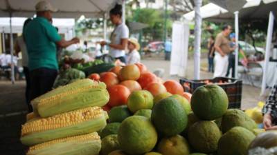 Un puesto de vegetales y frutas. Las exportaciones agrícolas y agroindustriales sumaron a septiembre $2,753.7 millones.