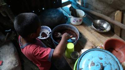 Familias con siete miembros se alimentan con menos de 100 lempiras al día.