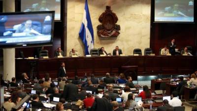 El dictamen de la ley de protección social fue conocido ayer en la cámara legislativa, que inició sesiones el pasado lunes.