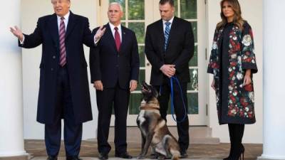 Trump y Melania presentaron a Conan, la perra que participó en el operativo contra Bagdadi en Siria./AFP.