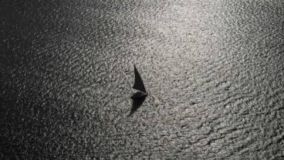 Un barco de vela surca las aguas del río Nilo al atardecer, en El Cairo, Egipto. EFE/Archivo