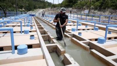 Estos proyectos generan un ingreso adicional a las alcaldías por el cobro de servicios de alcantarillado.