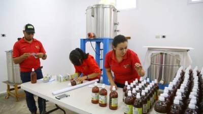Imágenes de la planta procesadora de miel de la Cooperativa Capucas, ubicada en Copán.