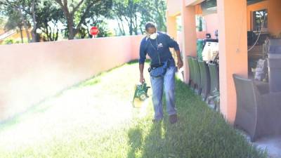 Las autoridades sanitarias realizan operativos de fumigación para erradicar el mosquito transmisor del virus. Foto: AFP/Joe Raedle