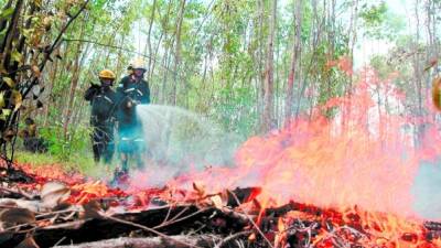 Los bomberos para combatir incendios utilizan herramientas, como matafuegos, azadones y rastrillos.