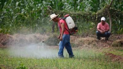 Los productores han pedido que se elimine el impuesto a las importaciones agrícolas.