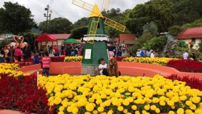 Registro general de los jardines de la Feria de las Flores y el Café, que se celebra hasta el próximo 21 de enero, en la localidad de Boquete (Panamá). EFE