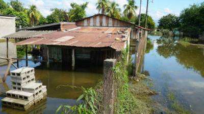 Las casas aún siguen inundadas en el barrio Morazán. Fotos: Amílcar Izagurre.