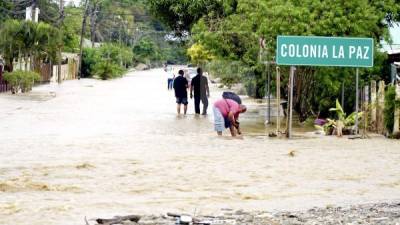 A lo largo del mes, las familias de La Lima y alrededores han sufrido cuatro inundaciones derivadas de las dos tormentas tropicales. Fotos: Amílcar Izaguirre.