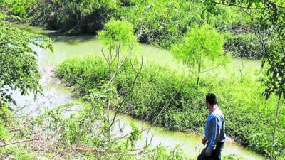 La Lima es uno de los municipios vulnerables de la región por el paso del caudaloso río Chamelecón.