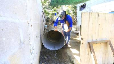Una empleada de Copeco elimina un criadero de zancudos durante las jornadas de limpieza en la colonia 14 de Febrero, sector Ocotillo.Foto: Moisés Valenzuela.