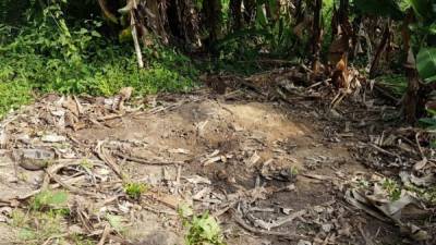 El lugar se encuentra en el sector de Miramelinda en San Pedro Sula.