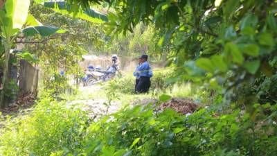 El cuerpo fue dejado en medio de un predio ayer.