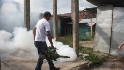 Para evitar la proliferación del zancudo transmisor del dengue se fumigan barrios.