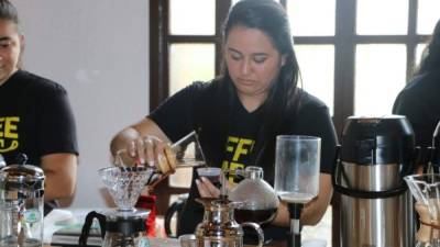 Copán produce cientos de quintales de cafés especiales, los que se exportan a mercados como Bélgica, Alemania y los Estados Unidos.