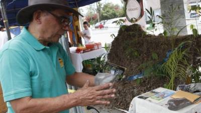 Un técnico de Orgánicos de Copán explica sobre el abono. Foto: José Cantarero