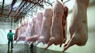 Los empleados de Promuca aplican normas de higiene al destace de cerdos.