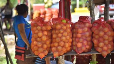 La producción de naranjas emplea al menos a 18,000 personas en Sonaguera. FOTOS: Luis Lemus