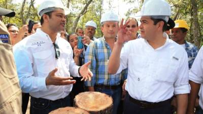 El mandatario Juan Orlando Hernández hoy en Olancho en el lanzamiento del plan para frenar la plaga de gorgojo.