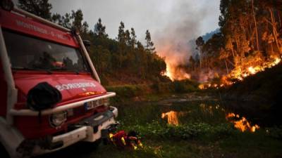 Un incendio forestal en el centro de Portugal mató al menos a 25 personas e hirió a otras 16 personas, la mayoría de ellas quemando a muerte en sus automóviles, dijo el gobierno el 18 de junio de 2017.