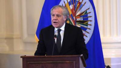 Luis Almagro, secretario general de la Organización de Estados Americanos (OEA). Foto: EFE