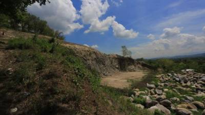 En los terrenos adonde se construirá se ha hecho limpieza y tala de árboles. Foto: Melvin Cubas