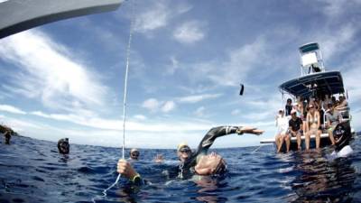 Se contará con el apoyo de 6 freedivers experimentados para dar auxilio en caso de alguna emergencia.