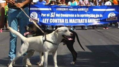 Los hondureños han estado presionando con marchas para que se apruebe la ley.