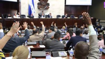 Diputados del Congreso Nacional levantan la mano durante la sesión.