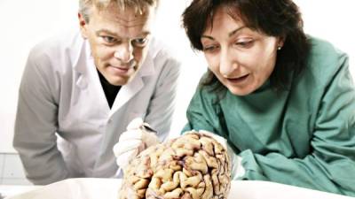 Científicos noruegos May-Britt Moser y Edvard Moser I con un cerebro humano en el Instituto Kavli de Neurociencia de Sistemas de la Universidad Noruega de Ciencia y Tecnología (NTNU) en Trondheim, Noruega.