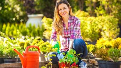 Beautiful woman planting flowers in her garden.