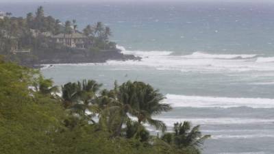 La lluvia del huracán Lane, ahora tormenta tropical, azotó la Isla Grande y Maui, causando inundaciones peligrosas. AFP