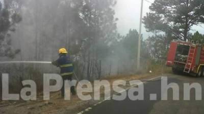 Foto: La Prensa