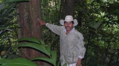 Arturo Reyes Castro muestra el bosque de madero en Mezapita, Atlántida.