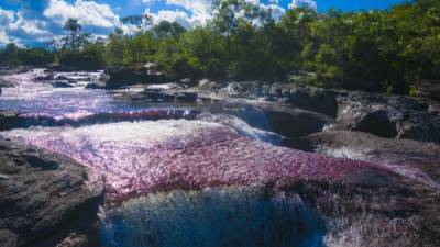 Considerado como el río más bonito del mundo por los colombianos, Caño Cristales tiene unas plantas acuáticas que únicamente crecen en temporada de lluvia, que van cambiando de colores.