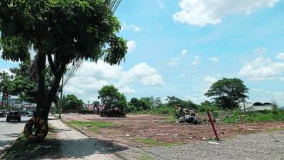 La maquinaria se está en el predio realizando labores de terracería y limpieza. Foto: Melvin Cubas.