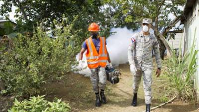 La fumigación es una de las acciones para erradicar el zancudo.