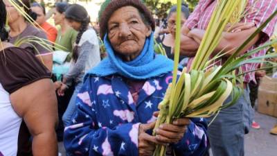 La feligresía católica participó de la tardicional procesión de palmas del Domingo de Ramos.