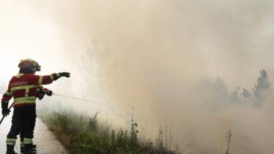 TP5 CADAFAZ (PORTUGAL), 21/06/2017.- Bomberos trabajan para extinguir un incendio en un bosque cerca de Cadafaz, en la región de Góis, Portugal, hoy, 21 de junio de 2017. Los bomberos que combaten el incendio en el término municipal portugués de Góis, uno de los más preocupantes en la jornada del martes, se mostraron hoy más optimistas y esperanzados ya que durante la noche han conseguido controlar varios frentes y solo dos siguen activos. EFE/TIAGO PETINGA