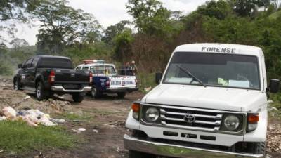 El cadáver de Serghy Anael Pineda fue reconocido por las autoridades a eso de las 10:40 am de ayer.