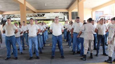 Los nuevos bomberos pasaron las pruebas de confianza y físicas al ser seleccionados. Foto: Jorge Monzón