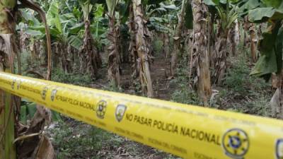 Ayer, las autoridades no trabajaron en las exhumaciones en la propiedad, que permanece acordonada y custodiada por la Policía en la comunidad de San José de la Sierra.