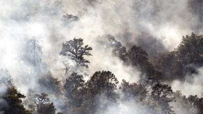 El fuego quemó cerca de 25 hectáreas de bosque desde la base hasta la cima de una montaña, explicaron en Twitter los bomberos de Utah.