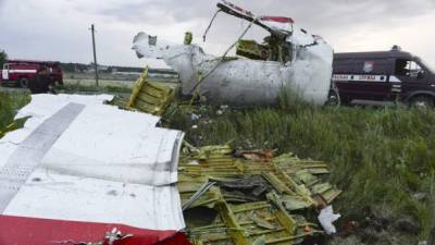 Restos del Boeing 777, vuelo MH17 de Malaysia Airlines, que cayó a tierra cerca de Donetsk con 295 personas a bordo.