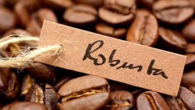 La variedad de café robusta es utilizada principalmente en mezclas, a menudo combinada con granos de la variedad arábica.