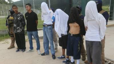 Seis de los ocho sujetos fueron detenidos en El Pedregal de la capital.