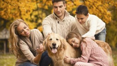 Tener un perro como mascota puede ayudar a la familia a sentirse en armonía.
