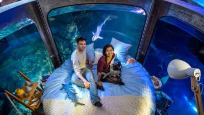 La pareja de turistas estadounidenses Kimly Do y Flip Senn, ganadores del concurso de Airbnb.